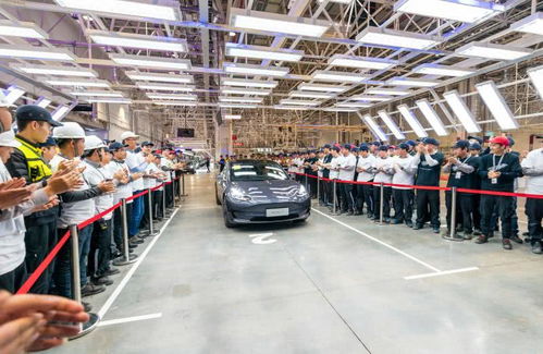 电动防爆车见证浪漫 首批国产特斯拉Model 3交付现场车主求婚